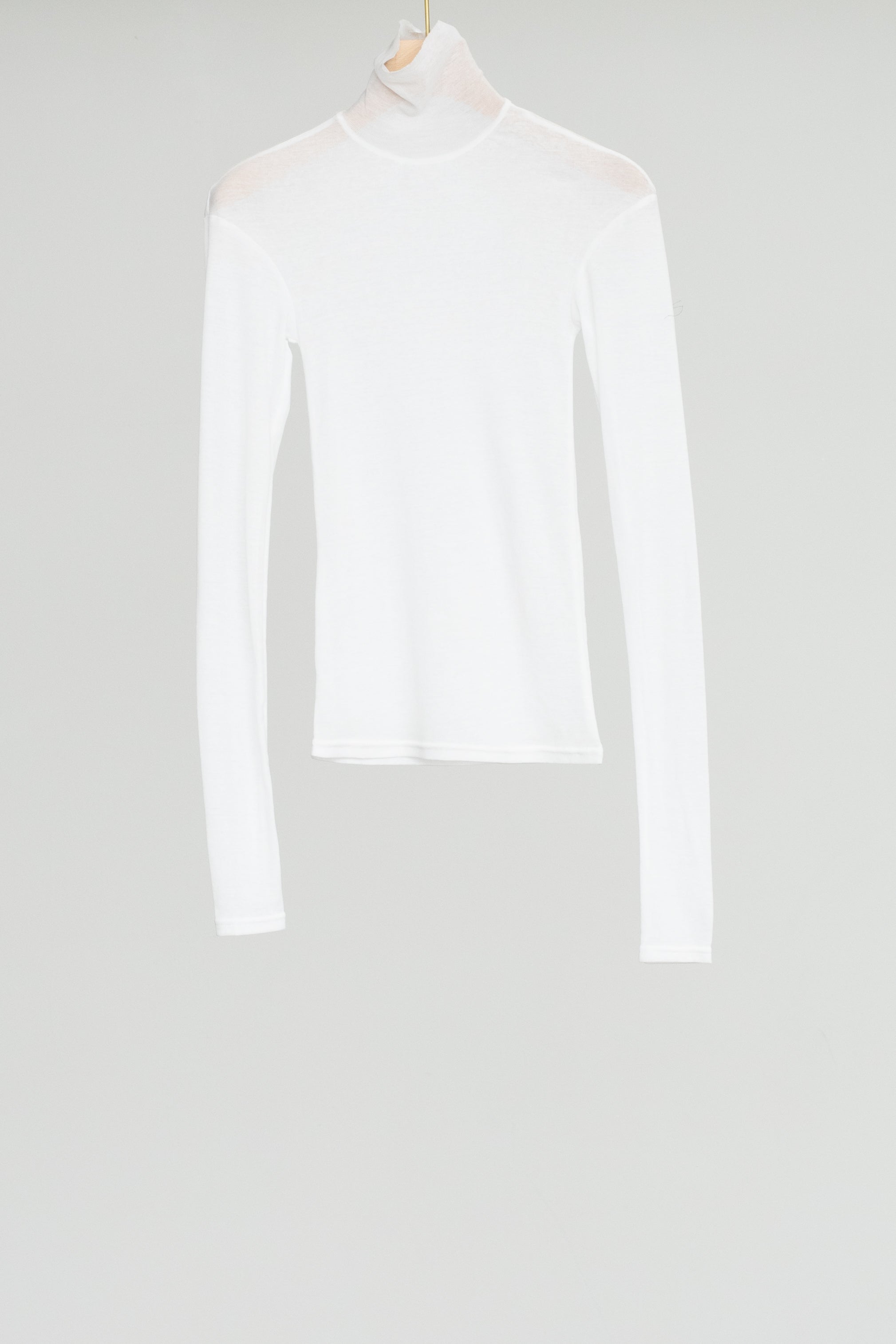 Sheer Fries Turtleneck Top (ls54551T)