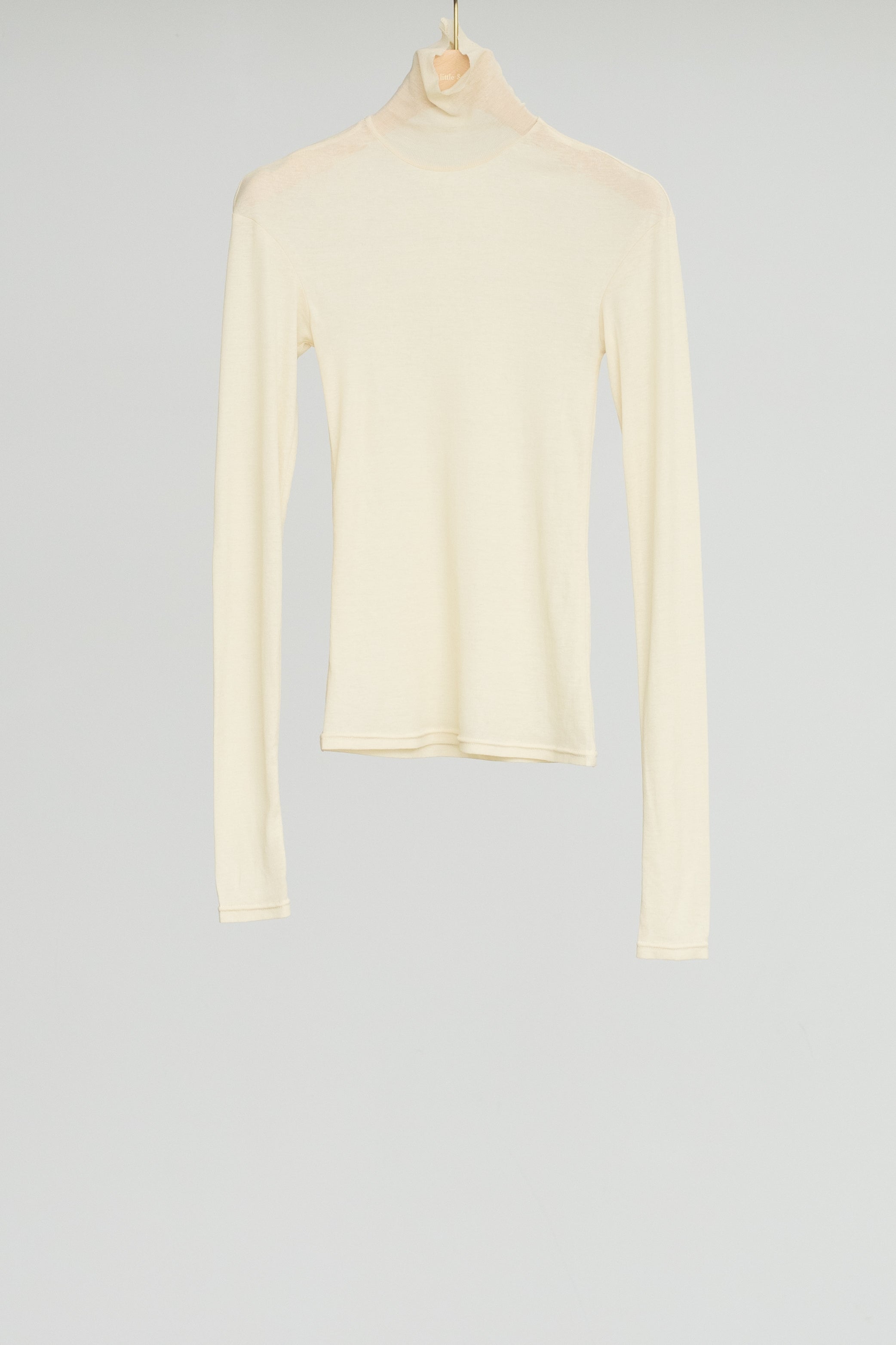 Sheer Fries Turtleneck Top (ls54551T)