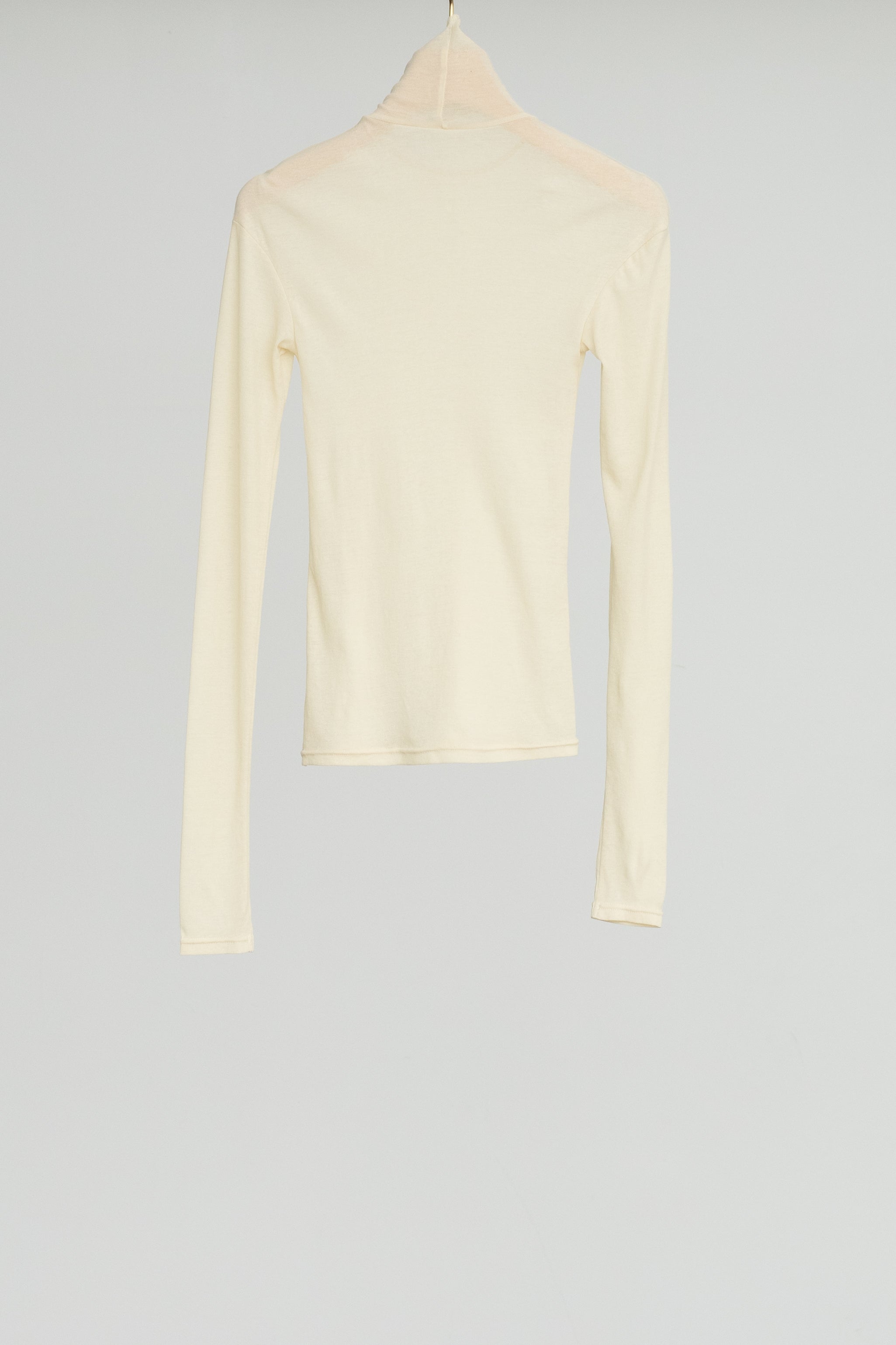 Sheer Fries Turtleneck Top (ls54551T)