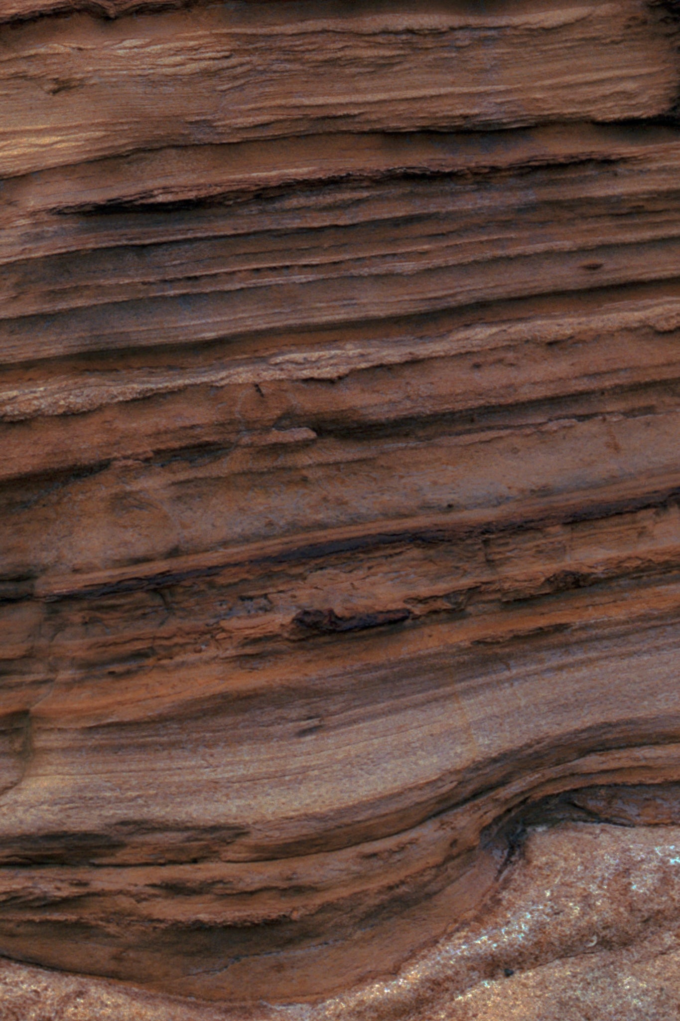 Studio Doe POP UP STORE at Little $uzie Apartment