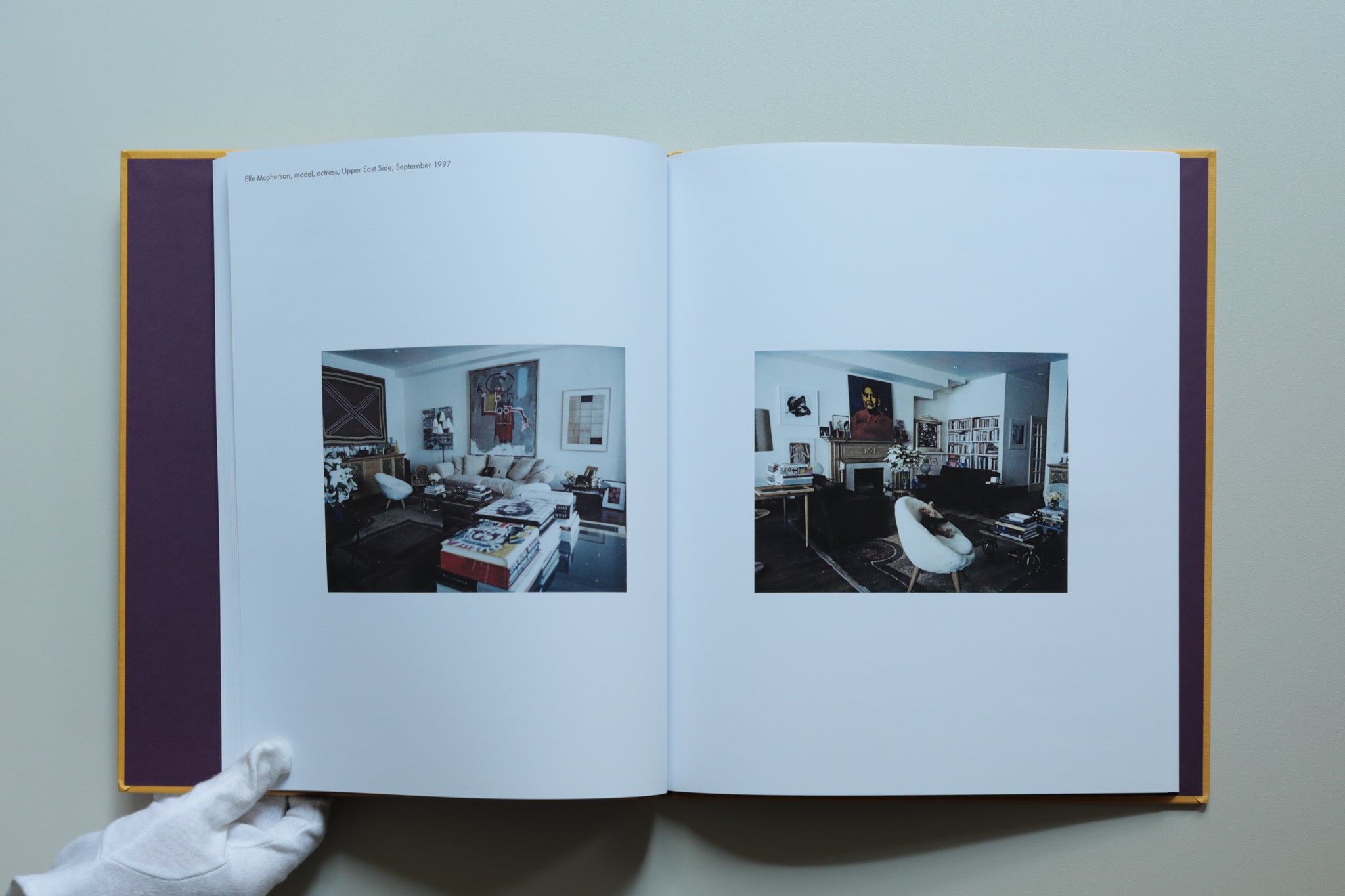 New York Living Rooms by Dominique Nabokov