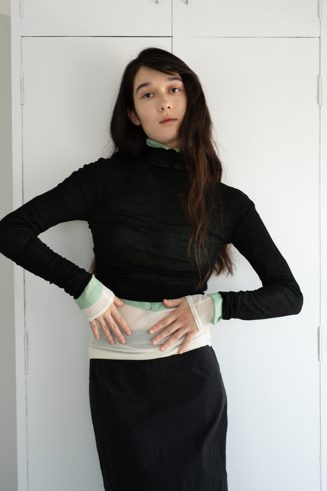 Sheer Fries Turtleneck Top (ls54551T)